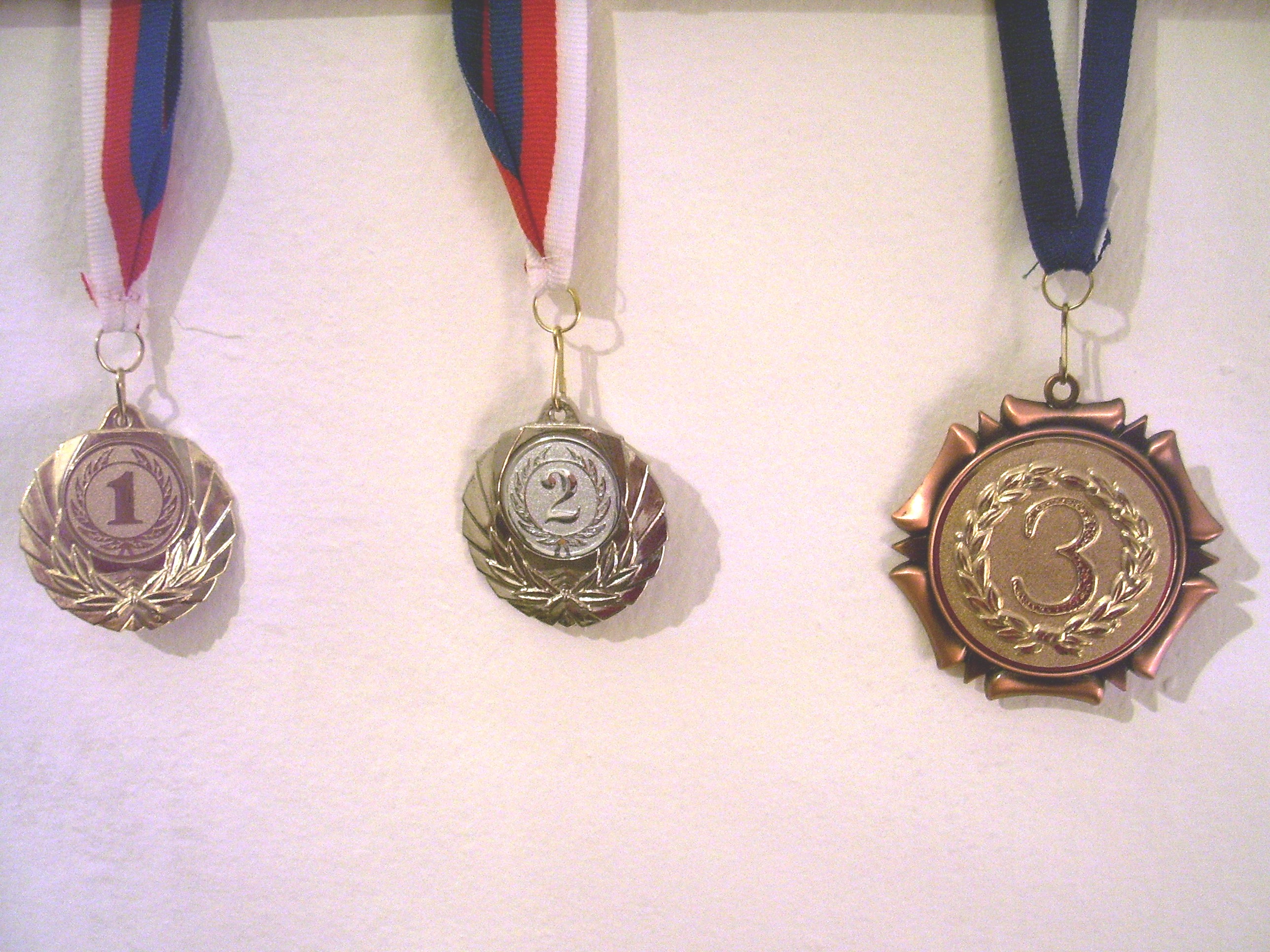 medaile 2006.JPG